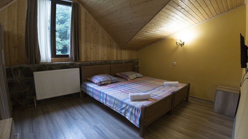 Imagen de la habitación del Hotel Eco House In Bakuriani. Foto 15