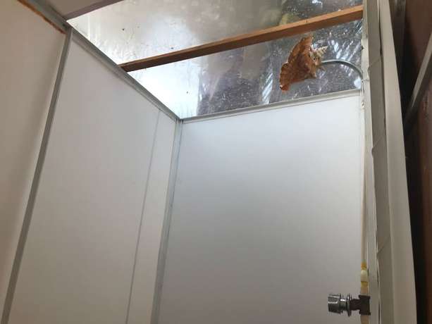 Imagen de la habitación del Hotel Eco Jadan Chechen. Foto 5