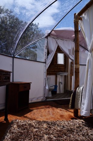 Imagen de la habitación del Hotel Eco Jadan Chechen. Foto 14