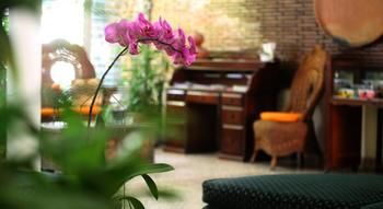 Imagen de los interiores del Hotel Eco Mariscal. Foto 11