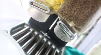 Imagen del bar/restaurante del Hotel Eco Mariscal. Foto 7