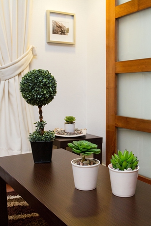 Imagen de los interiores del Hotel Eco Plaza Santiago. Foto 12