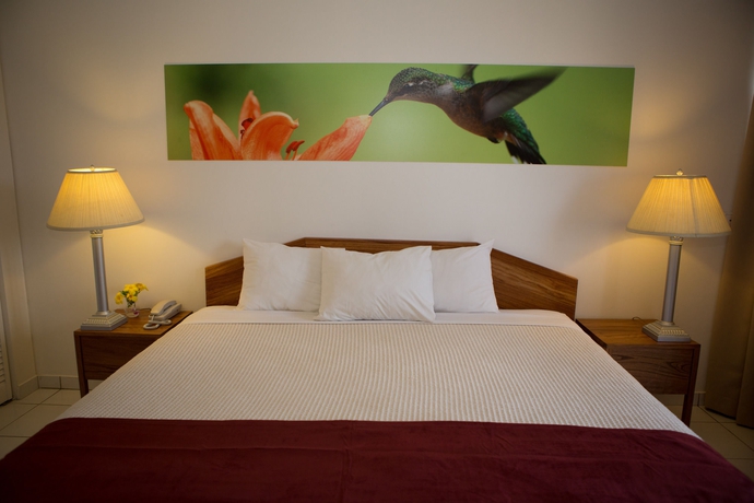 Imagen de la habitación del Hotel Eco Resort Inn. Foto 10