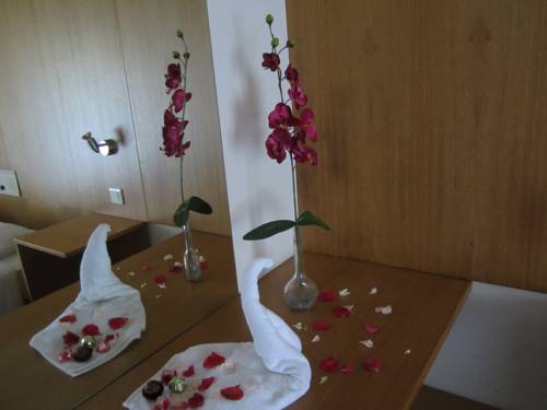 Imagen de la habitación del Hotel Eco Salvador. Foto 15