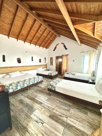 Imagen general del Hotel Eco Terrabella. Foto 10