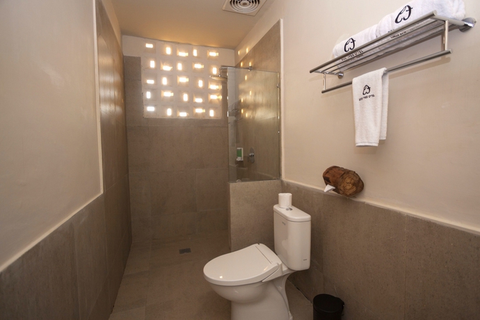 Imagen de la habitación del Hotel Eco Tree O'tel. Foto 14