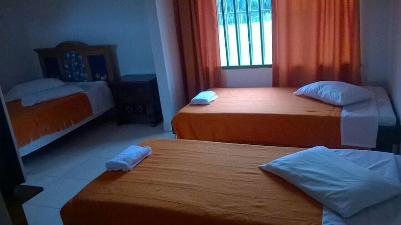 Imagen de la habitación del Hotel Eco Villa Diana. Foto 17