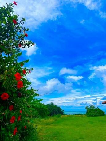 Imagen general del Hotel Eco Village Iriomote. Foto 2