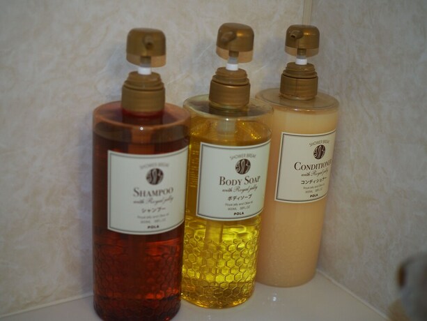 Imagen de la habitación del Hotel Eco Village Iriomote. Foto 32