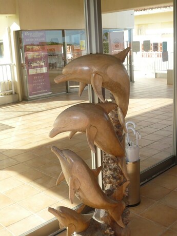 Imagen de los interiores del Hotel Eco Village Iriomote. Foto 39