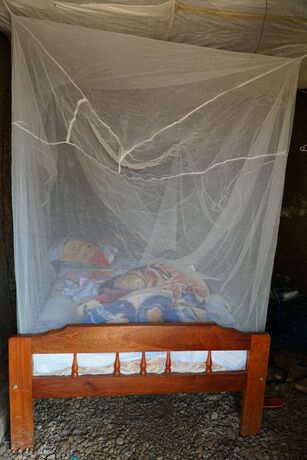 Imagen general del Hotel Eco-Agric Uganda Cottages. Foto 5