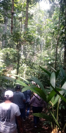 Imagen de la habitación del Hotel Ecoadventure Amazon. Foto 10