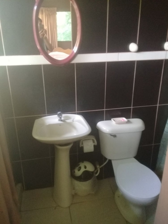 Imagen de la habitación del Hotel Ecoadventure Amazon. Foto 15