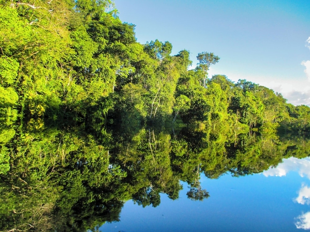 Imagen de la piscina del Hotel Ecoadventure Amazon. Foto 19