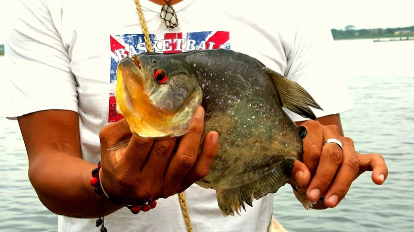 Imagen general del Hotel Ecoadventure Amazon. Foto 2