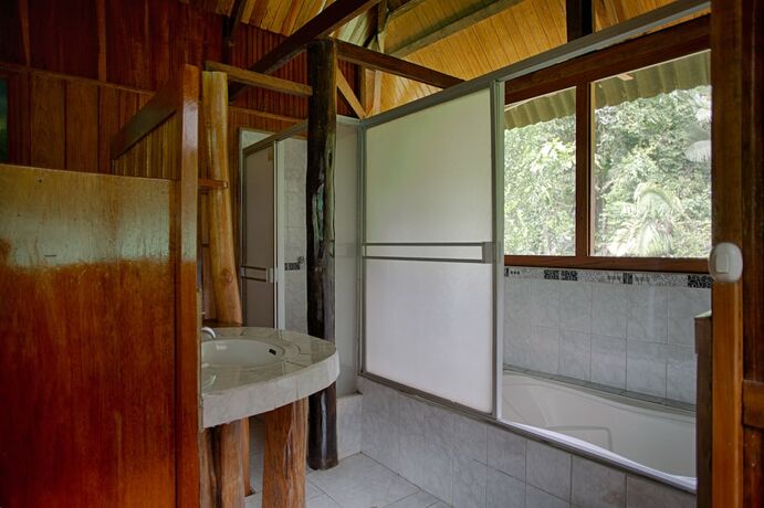 Imagen de la habitación del Hotel Ecoamazonia Lodge. Foto 28