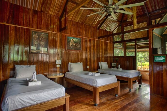 Imagen de la habitación del Hotel Ecoamazonia Lodge. Foto 32