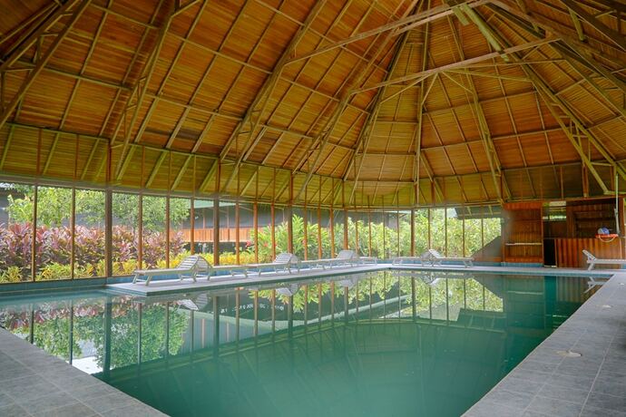 Imagen de la piscina del Hotel Ecoamazonia Lodge. Foto 36