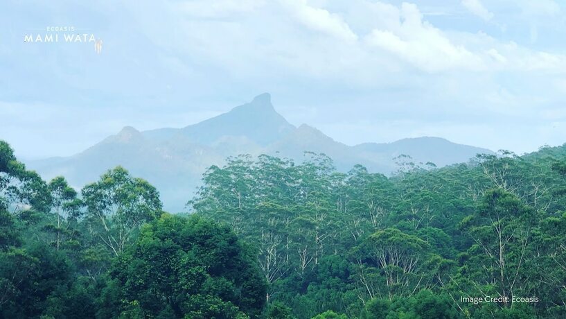 Imagen general del Hotel Ecoasis Wellness Sanctuary. Foto 3