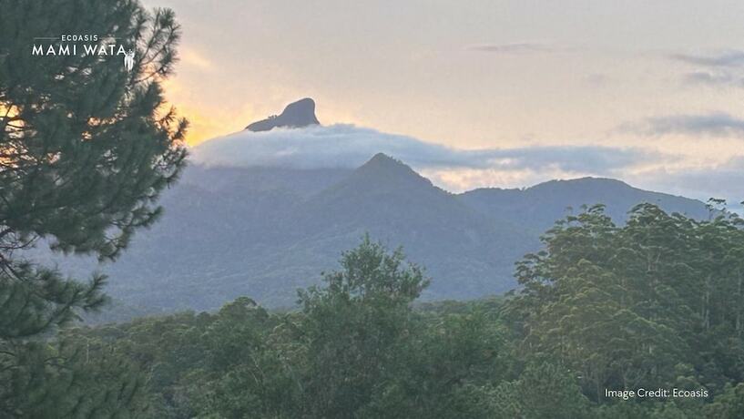 Imagen general del Hotel Ecoasis Wellness Sanctuary. Foto 5