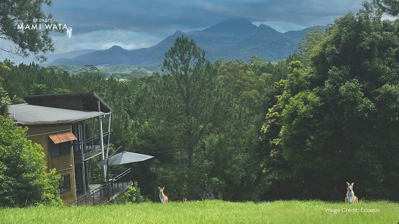 Imagen general del Hotel Ecoasis Wellness Sanctuary. Foto 9