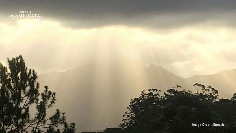 Imagen general del Hotel Ecoasis Wellness Sanctuary. Foto 10