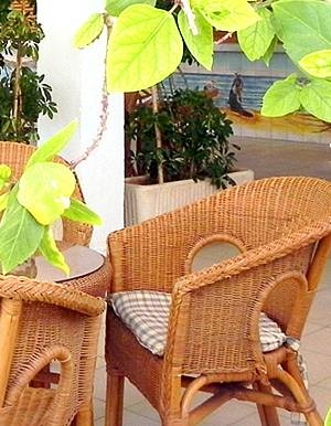 Imagen de los interiores del Hotel Ecoavenida. Foto 15