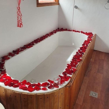 Imagen de la habitación del Hotel Ecocaba&ntilde;as Pereira. Foto 2