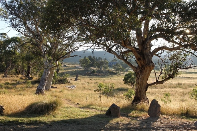 Imagen de los exteriores del Hotel Ecocrackenback 10 'Sustainable chalet close to the slopes.'. Foto 11