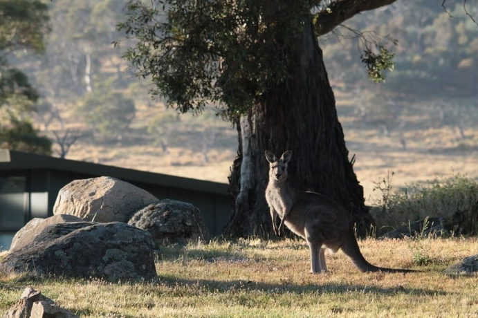 Imagen de los exteriores del Hotel Ecocrackenback 16 'Sustainable chalet close to the slopes.'. Foto 11
