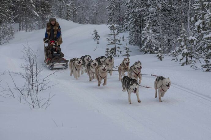 Imagen general del Hotel Eco-home. Foto 8