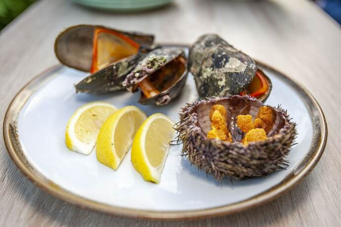 Imagen general del Hotel Eco-home. Foto 10