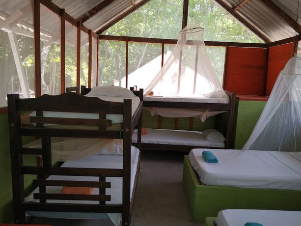 Imagen de la habitación del Hotel Ecohotel Las Palmeras. Foto 2