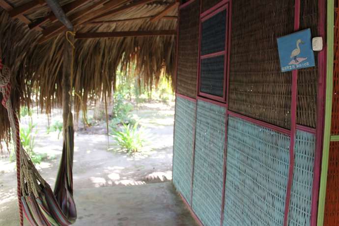Imagen de la habitación del Hotel Ecohotel Las Palmeras. Foto 3