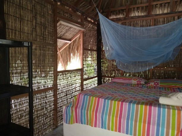 Imagen de la habitación del Hotel Ecohotel Las Palmeras. Foto 5