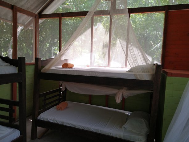 Imagen de la habitación del Hotel Ecohotel Las Palmeras. Foto 7