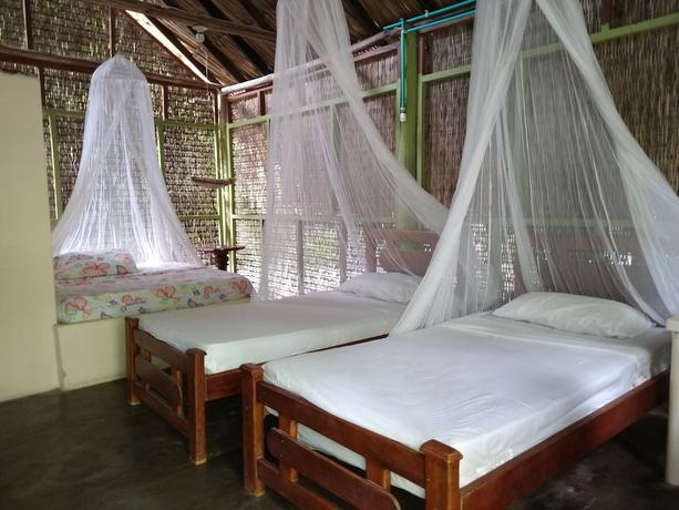 Imagen de la habitación del Hotel Ecohotel Las Palmeras. Foto 10