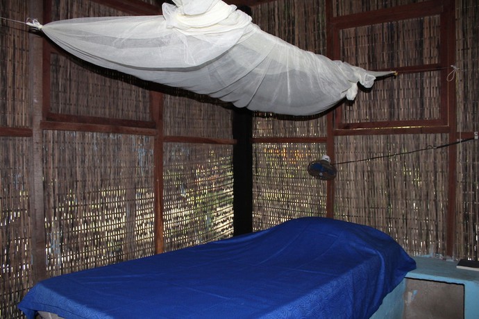 Imagen de la habitación del Hotel Ecohotel Las Palmeras. Foto 11
