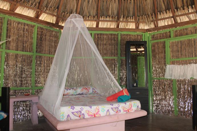 Imagen de la habitación del Hotel Ecohotel Las Palmeras. Foto 13
