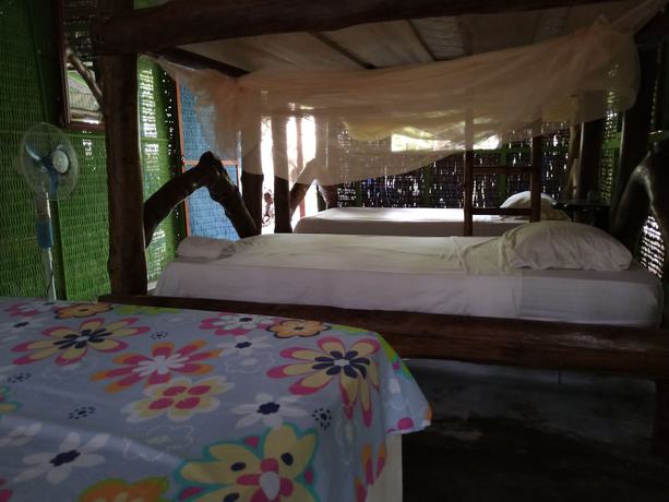 Imagen de la habitación del Hotel Ecohotel Las Palmeras. Foto 14