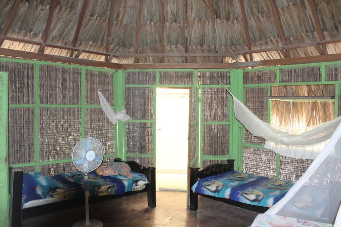 Imagen de la habitación del Hotel Ecohotel Las Palmeras. Foto 17