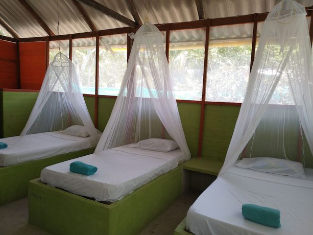 Imagen de la habitación del Hotel Ecohotel Las Palmeras. Foto 18