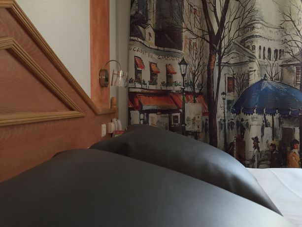 Imagen de la habitación del Hotel Ecole Centrale. Foto 9