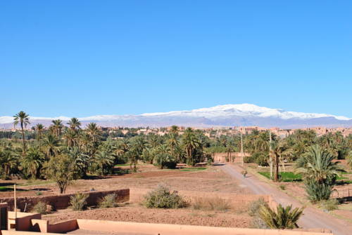 Imagen de los exteriores del Hotel Ecolodge - La Palmeraie. Foto 14