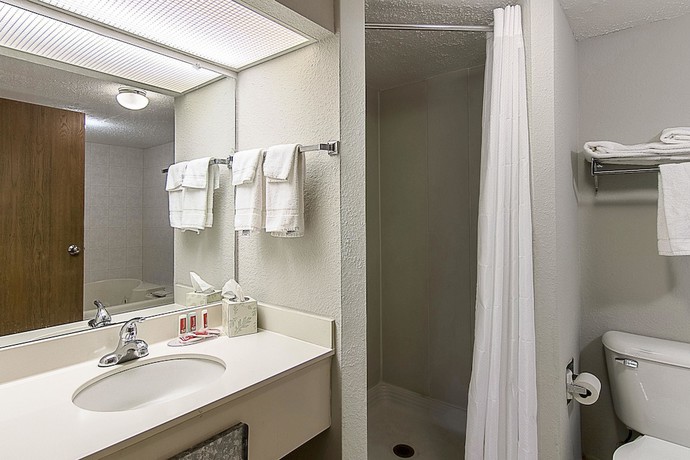 Imagen de la habitación del Hotel Econo Lodge, Americus. Foto 8