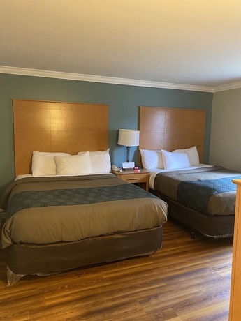 Imagen de la habitación del Hotel Econo Lodge At The Falls North. Foto 8