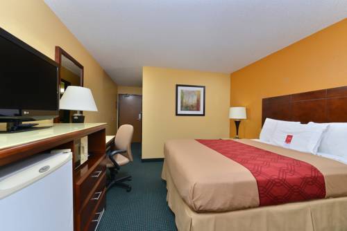 Imagen de la habitación del Hotel Econo Lodge Cartersville-emerson Lake Point. Foto 8