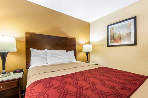 Imagen de la habitación del Hotel Econo Lodge Cartersville-emerson Lake Point. Foto 12