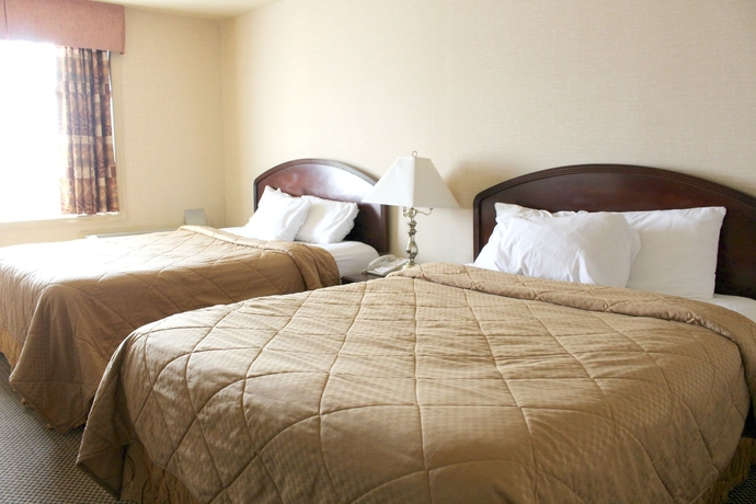 Imagen de la habitación del Hotel Econo Lodge City Centre. Foto 15