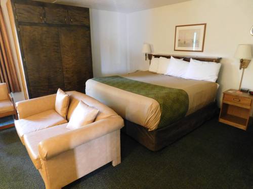 Imagen de la habitación del Hotel Econo Lodge Conway. Foto 1